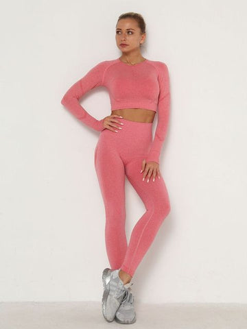 Women Sets Skinny Outfits High Waist Push Up Leggings Gym Clothes Sport Suit