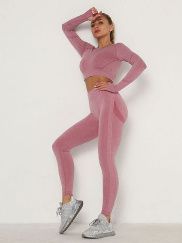 Women Sets Skinny Outfits High Waist Push Up Leggings Gym Clothes Sport Suit